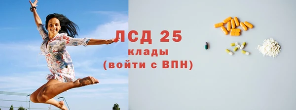 прущие грибы Арсеньев